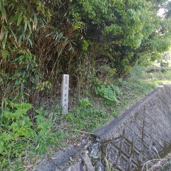 風伝アルプス⛰️ひとまず縦走🎉…元玉置・裏玉置神社を経由して / マル