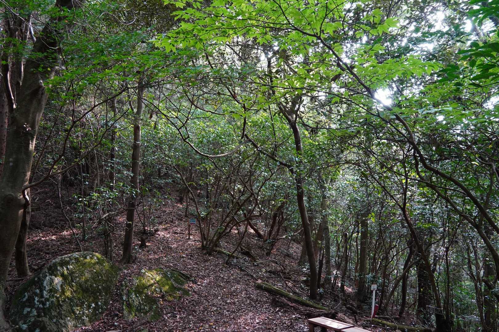 峠に到着🫡
虫の集りは少しは落ち着く😮‍💨