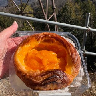 先程の北山師岳に戻って来て、鉄塔の下でお昼ご飯。
オレンジ🍊デニッシュ美味しかった😋
