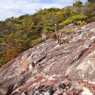 YAMAPの地図によれば狼岩。しかし狼岩を示すものは何もない。
