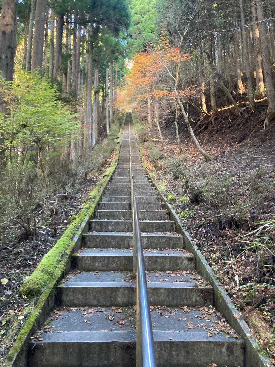 毎回見る度に絶望しそうになるスタートの階段。年々キツくなってくる感じる気がする。