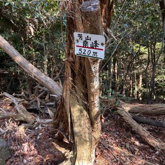 芳山にも立ち寄りましたが風の音が不気味でした