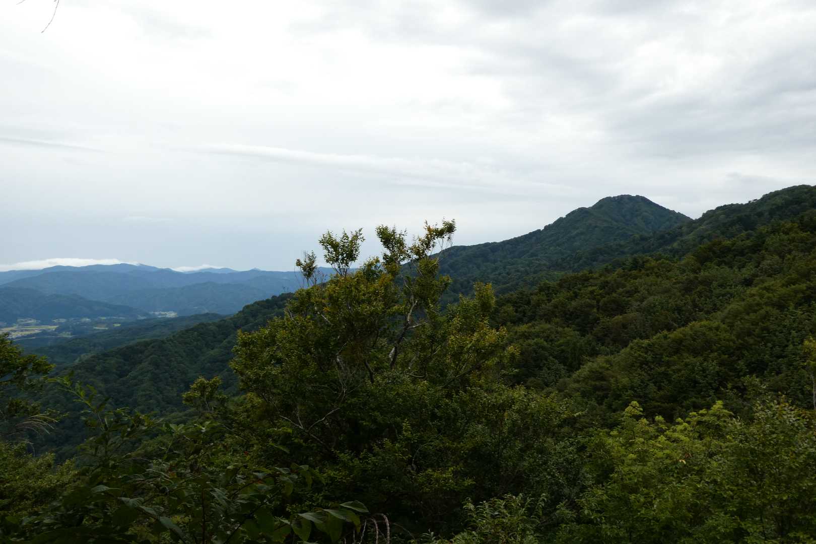 八景台からの見晴らし
