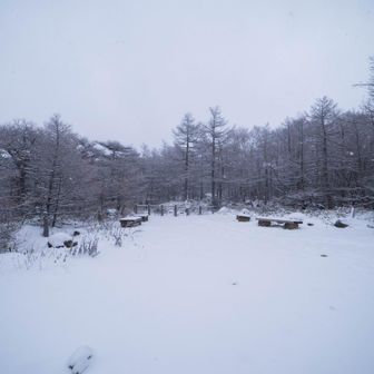 登山口。表コースで登って中コースで下りる