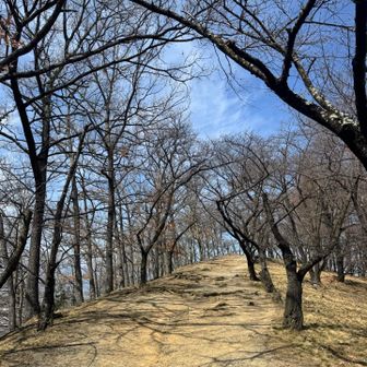桜の時期は駐車場は停められないみたいだけど、来てみたい🌸