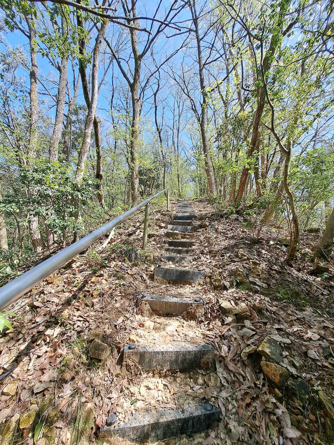こちらのコースは階段三昧😂
