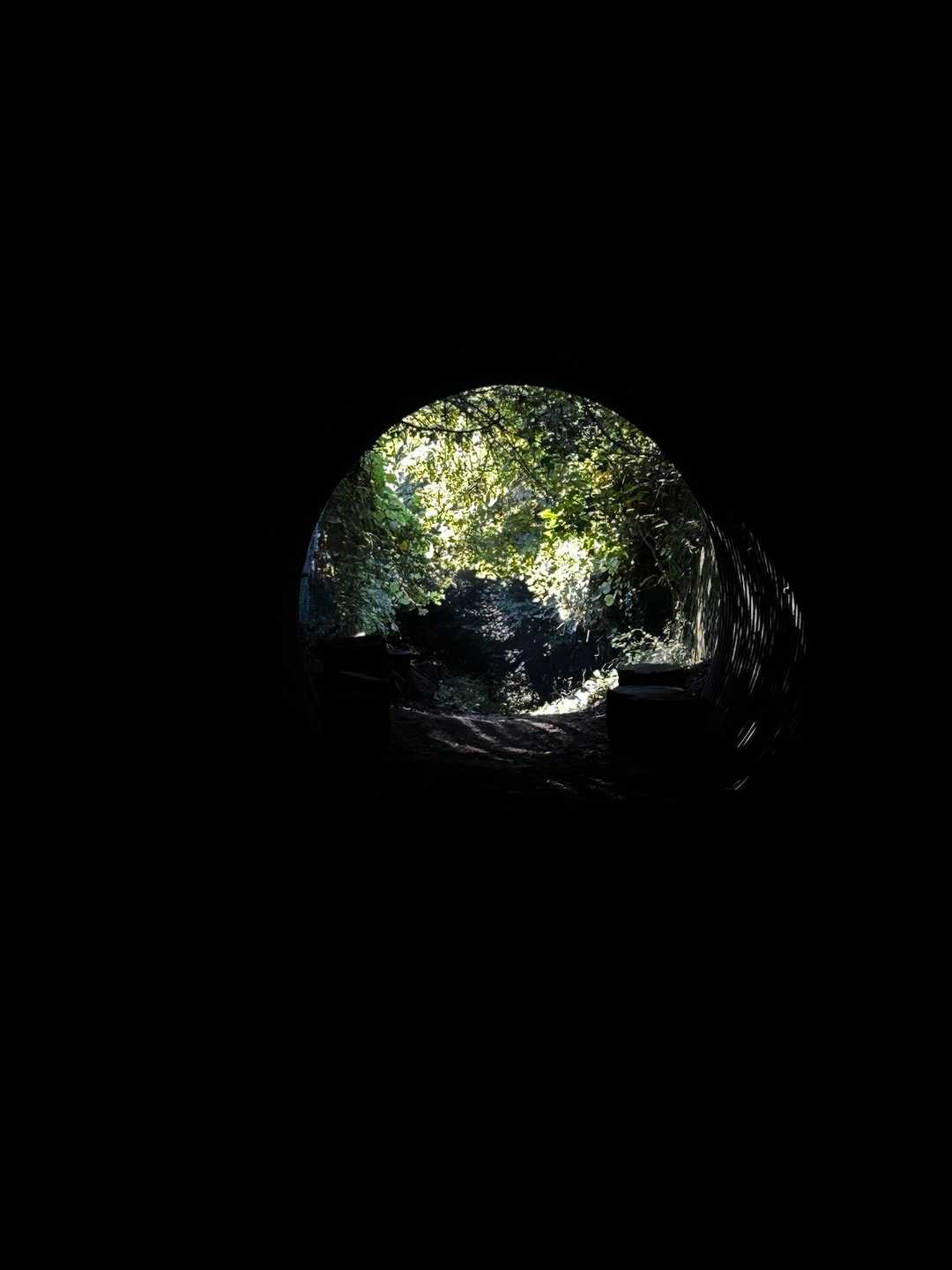国見山登り口 周回コースの写真