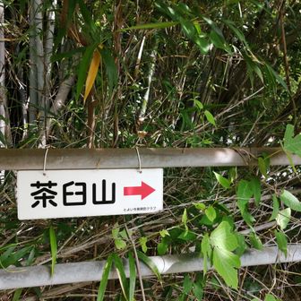 豊井歩道橋手前。
とよい今昔探訪クラブさん ありがとう