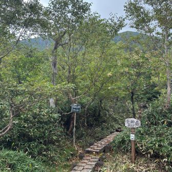 向かいの薬師岳登山口。