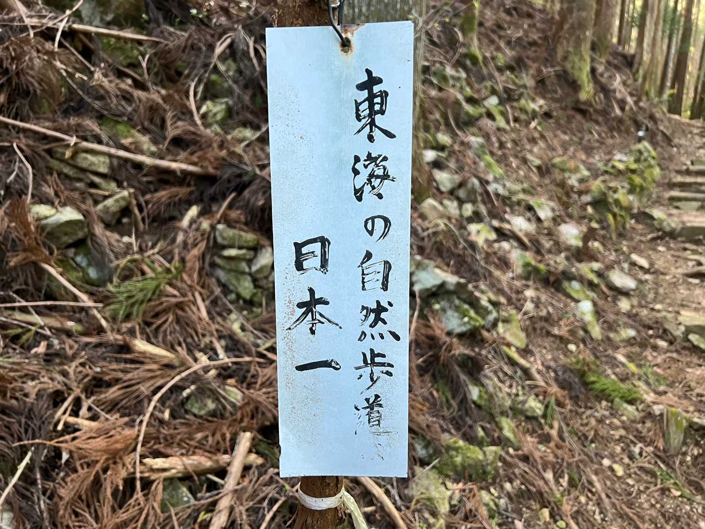 こんな道でした