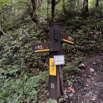 がんばって登りましょう。
