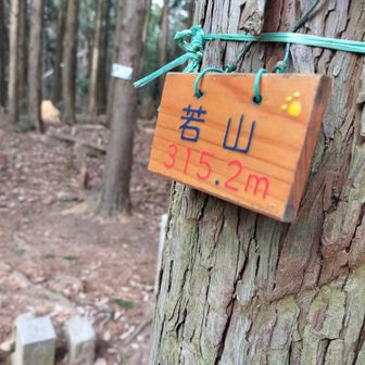 若山（315.2m）😌
