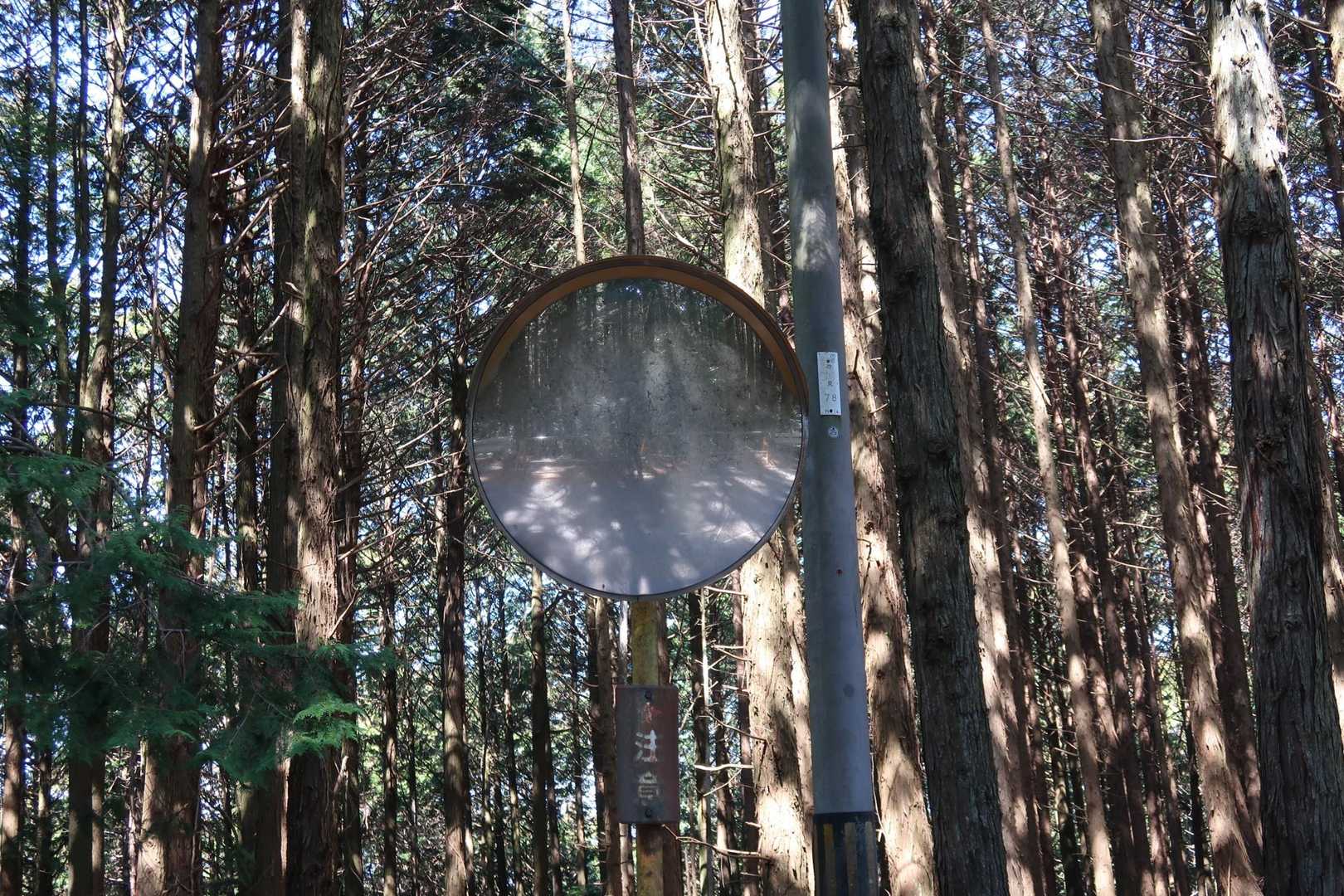 映らないぜ📸