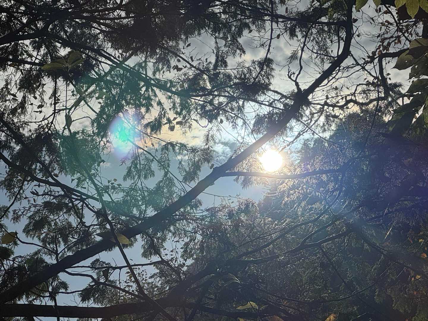 太陽の熱量を感じる。
10月の第3土曜日。
まだまだ晴れると☀️が暑く感じられるが真夏のような嫌らしさも感じない。