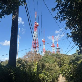 天気が良いと山頂までも楽ちん