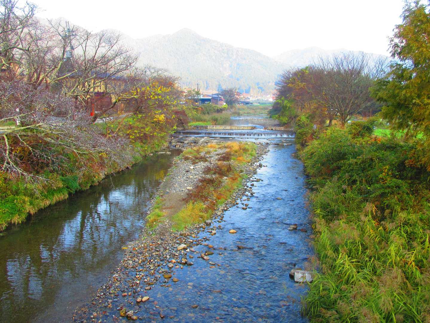 高野川上流