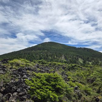 坪庭から縞枯山