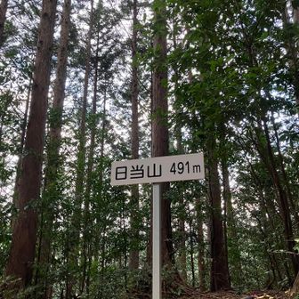 いきなりの急登で汗ばむ💦