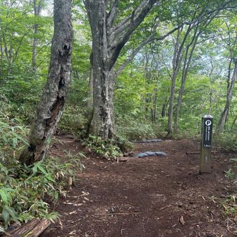 風が流れないと、汗だく。
