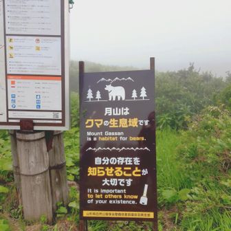 登山口付近に戻って来ました
