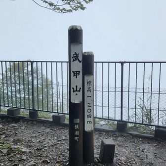 真っ白でした。