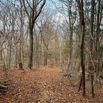 山頂付近は素敵な雰囲気です