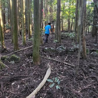 倒木と杉のはをふみしめながら
蛇🐍がいないか確めながら😁