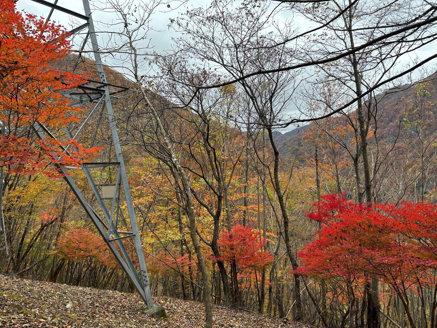 南平山 往復コースの写真