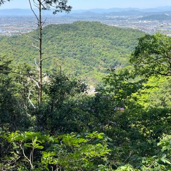 ここで小休止。なんか手足の先が痺れてる(-_-;)
最初に登った楽田山。