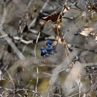 お疲れ様でした〜