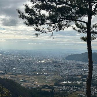 なんといい景色でしょう❤️