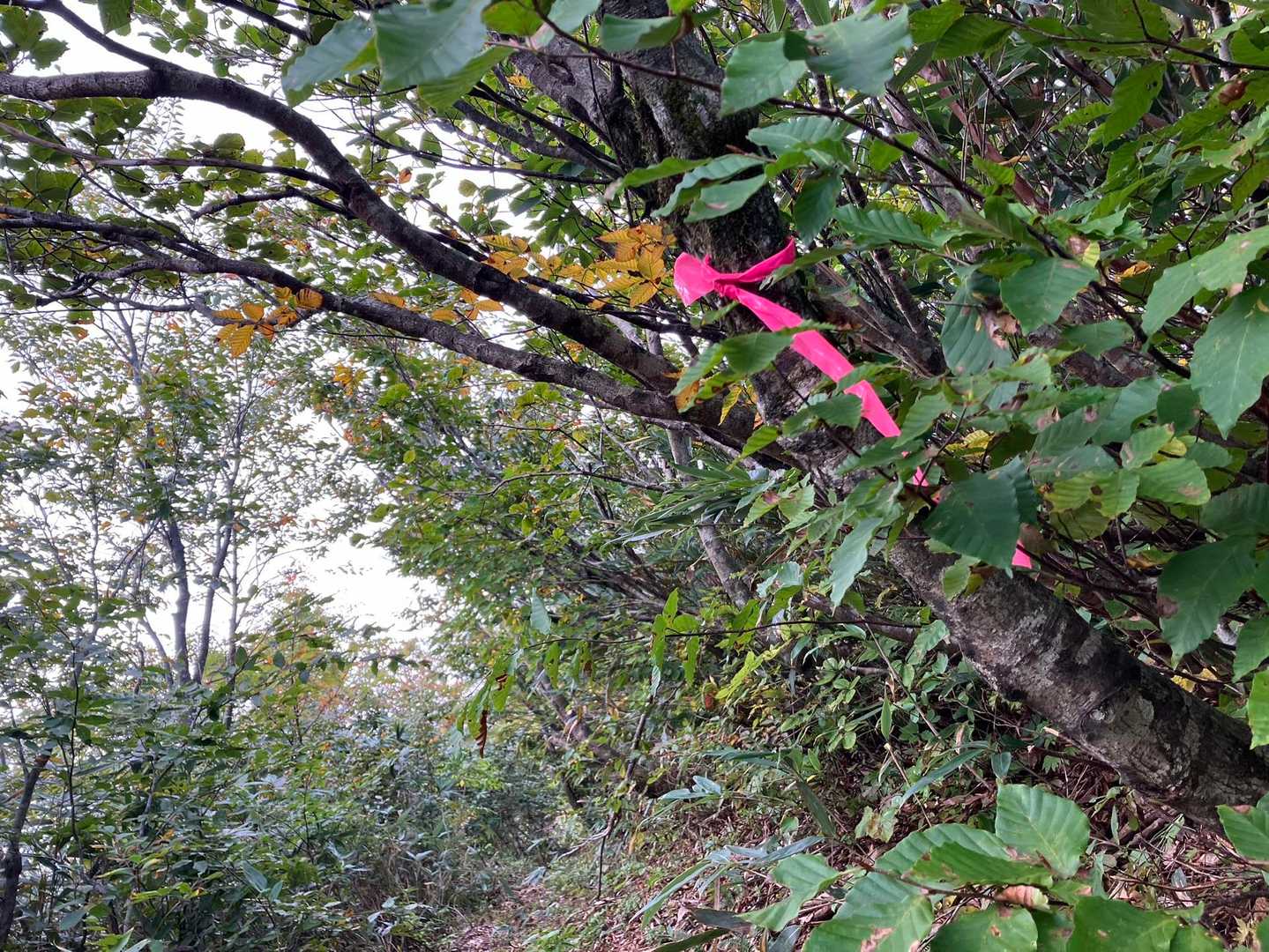 剣岳に寄り道