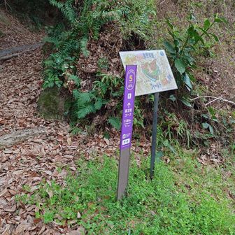 本日もよろしくお願いいたします　入口周辺ではハトさんとウグイスさんが鳴き声合戦をしていて可愛かったです！