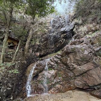 落差12～15ｍの直滝
水量は少なめですが静謐な空気感
