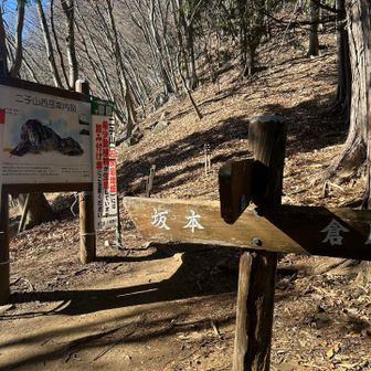 私達は案内図の右手に向かいます！