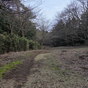 緩い下りは大好物。お尻が疲れてきて、着地時に股が痺れたのは初めて。