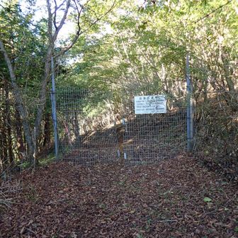 クマのポスターのところから戻ってきた。
これを通って忍野村へ下山する。