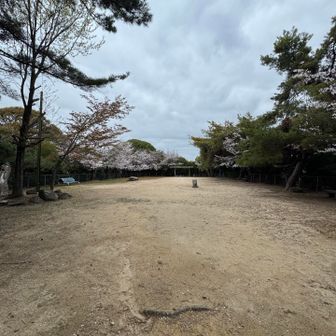 江波皿山　山頂