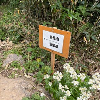黒沢池ヒュッテから妙高へ