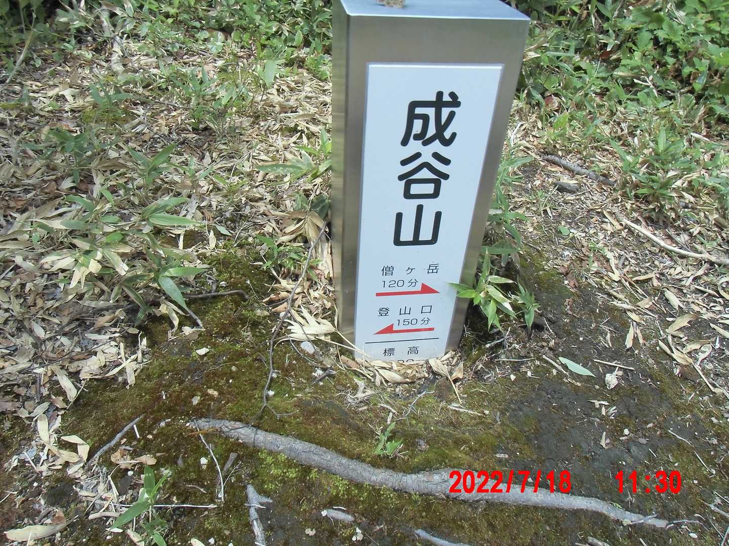 成谷山山頂の標柱