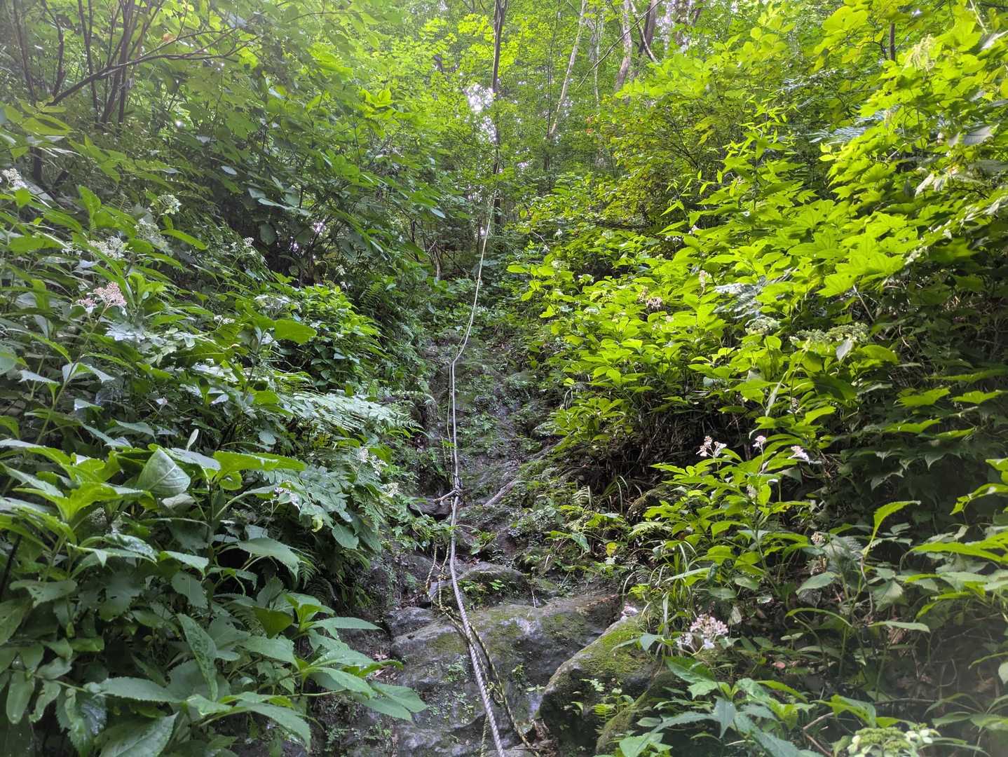川床登山口-甲ヶ山-矢筈ヶ山-大休峠 周回コースの写真