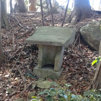 祠も見つけました。

最後まで見てくださって、ありがとうございます。