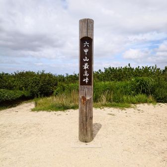 最高峰裏の階段道は、綺麗に草が刈られていた。そのため、楽しみにしていた花も刈られていたな😞