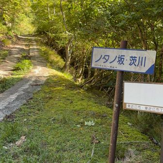 小又谷山林道を歩く。
