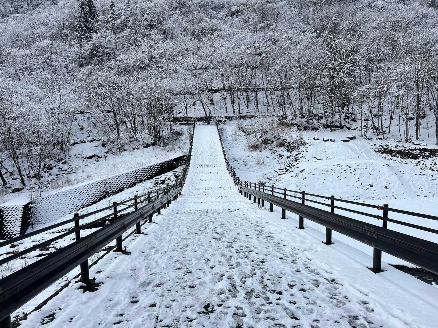行く時は真っ暗だった橋
下が見えて怖い😱