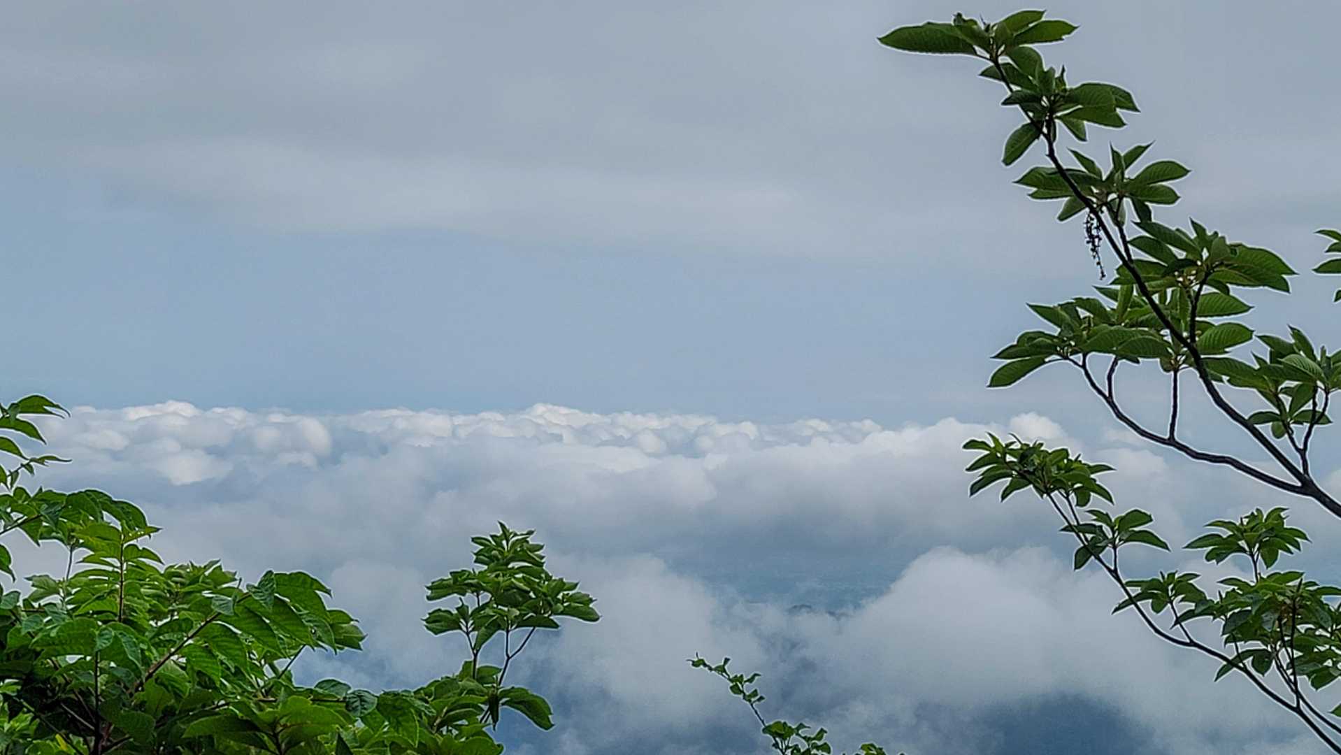 笠山から雲海が見えました。