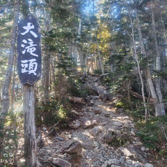ここから急登が始まります。