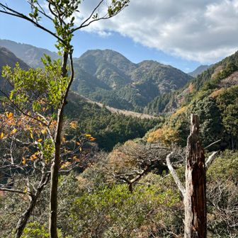 竜ヶ谷コースから外れて
尾根筋に出たところから小岐須渓谷

小岐須渓谷は紅葉より春の山野草(トウゴクサバノオ、シロバナネコノメソウ、キクザキイチゲ 等)の方が楽しそうです
