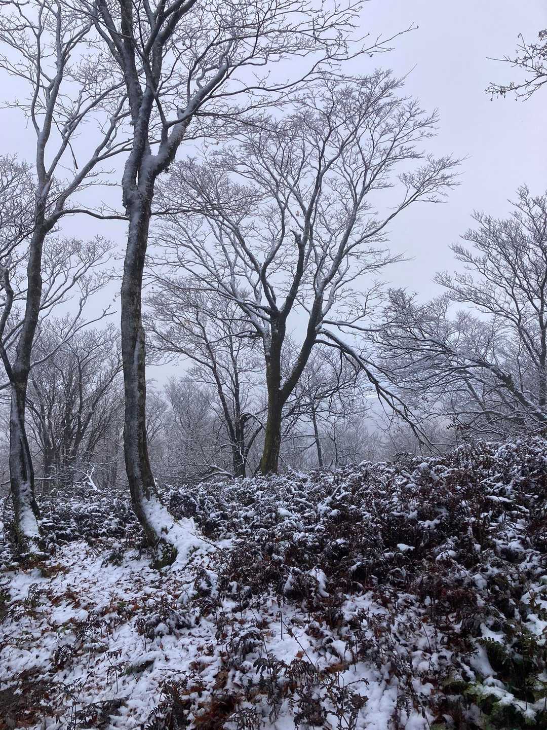 雪深くなっていきます