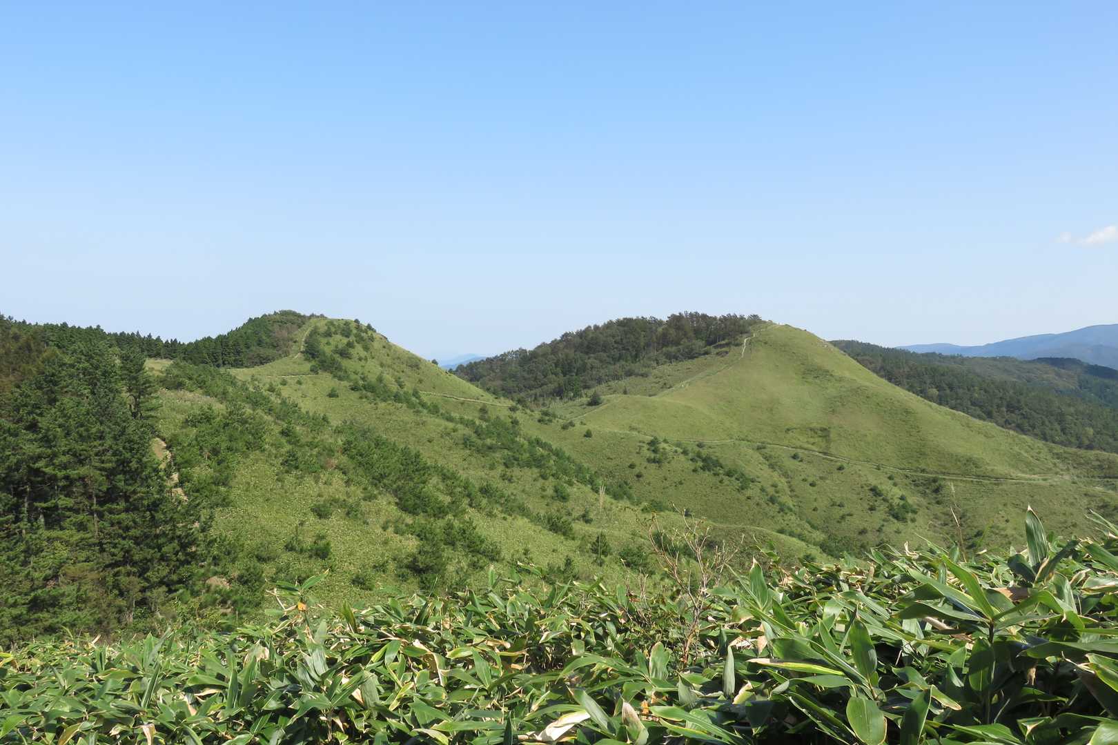 美しい緑の草原と稜線が映えます